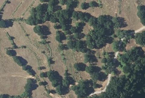 Vue aérienne du Camping de la Cascade à Saint-Rome-de-Tarn