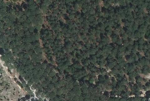 Vue aérienne du Camping du Tedey à Lacanau