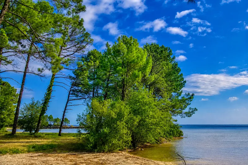 Photo du Camping Seasonova Lac de Cazaux, fournie par Glampings