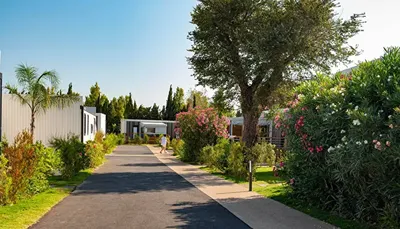 Camping Club les Tamaris