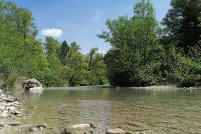 Camping l’Ondine de Provence