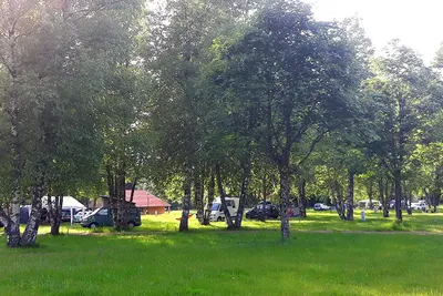 Camping du Domaine de Longemer
