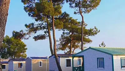 Camping les Violettes