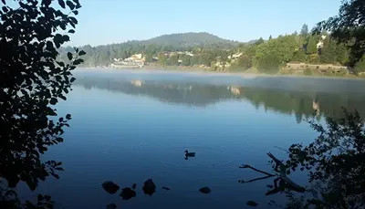 Camping et Chalets du Lac d’Aydat
