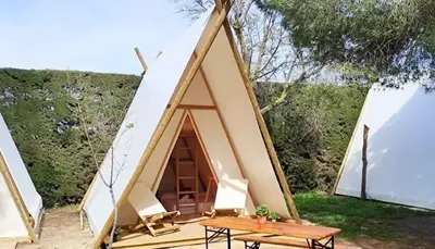 Camping Suhiberry