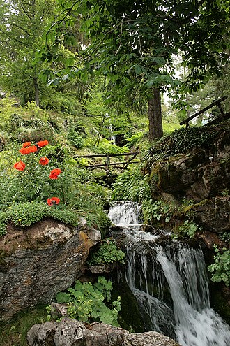 Photo : Jardin botanique alpin La Jaÿsinia