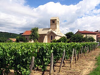 Photo : Chapelle Romane de Domange