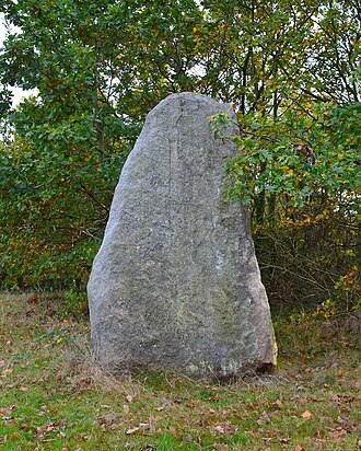 Photo : Menhir du Plessis-Gamat