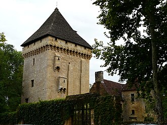 Photo : Donjon, Manoir et Jardin de la Salle