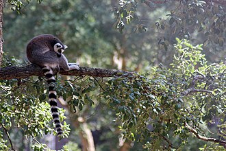 Photo : Zoo de Labenne