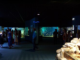 Photo : Aquarium La Rochelle