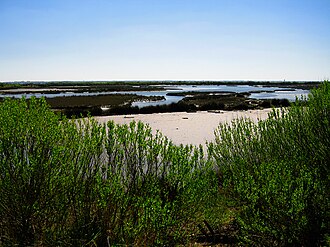 Photo : Domaines de Certes - Graveyron